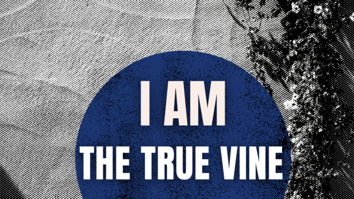 I am the True Vine